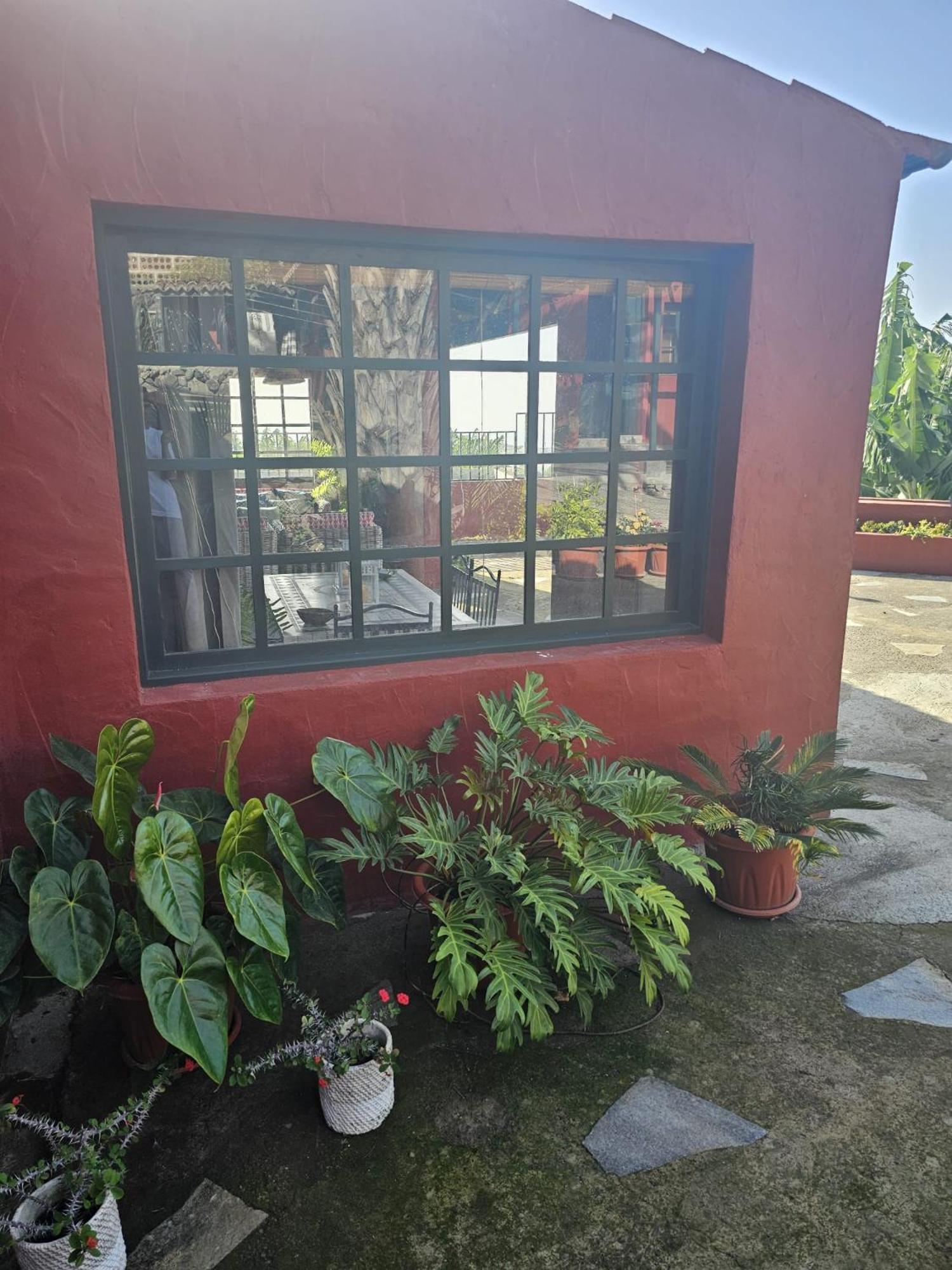 Casa Rural El Pinito Con Piscina Privada El Paso Exteriér fotografie